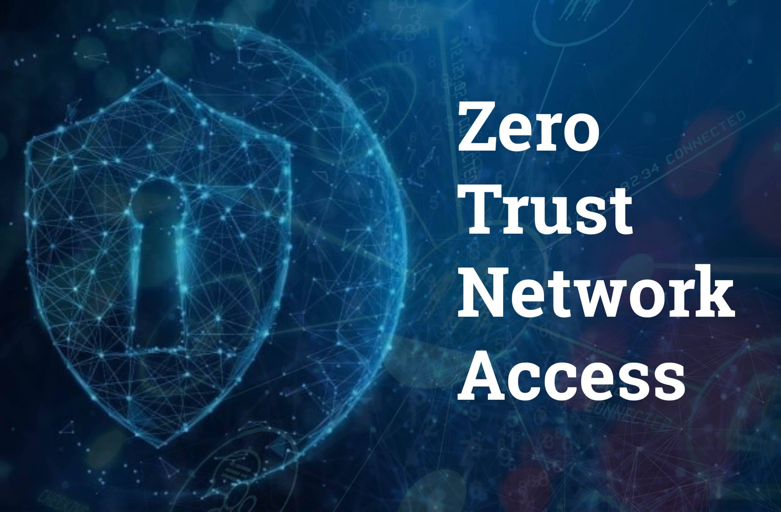 Zero Trust Network Access(ZTNA)